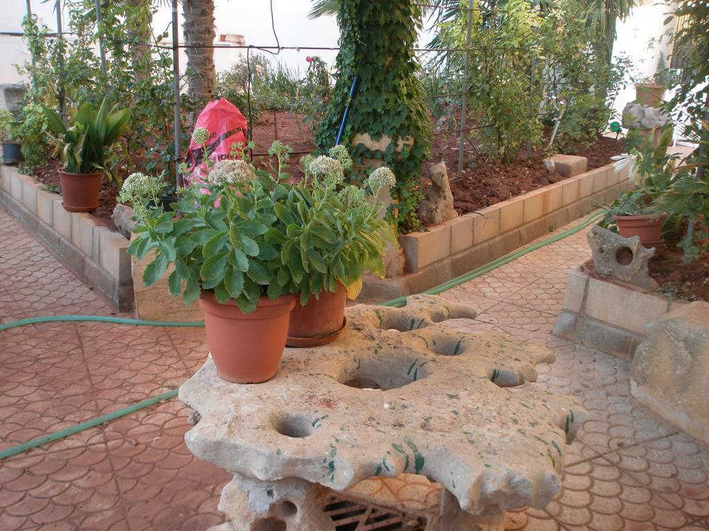 Hostal Los Rosales Alcaraz Ruang foto